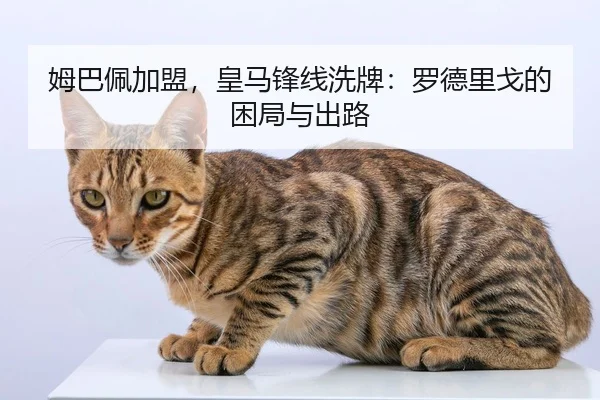 mu-ba-pei-jia-meng-huang-ma-feng-xian-xi-pai-luo-de-li-ge-de-kun-ju-yu-chu-lu-2-832.jpg