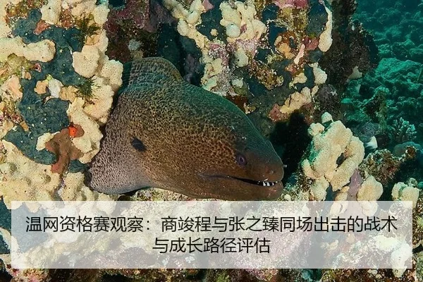 wen-wang-zi-ge-sai-guan-cha-shang-jun-cheng-yu-zhang-zhi-zhen-tong-chang-chu-ji-de-zhan-shu-yu-cheng-zhang-lu-jing-ping-3-281.jpg
