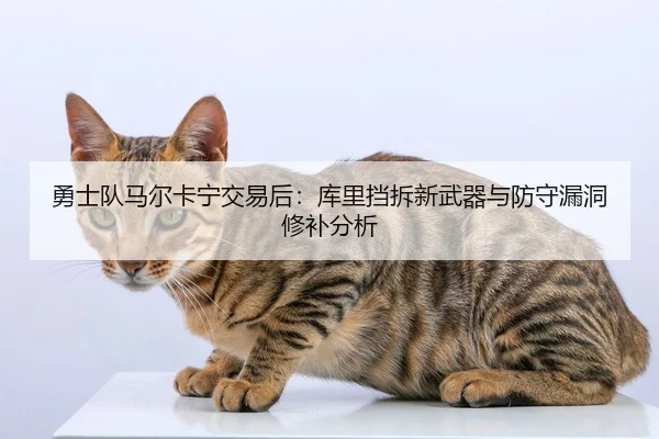 yong-shi-dui-ma-er-ka-ning-jiao-yi-hou-ku-li-dang-chai-xin-wu-qi-yu-fang-shou-lou-dong-xiu-bu-fen-xi-2-730.jpg